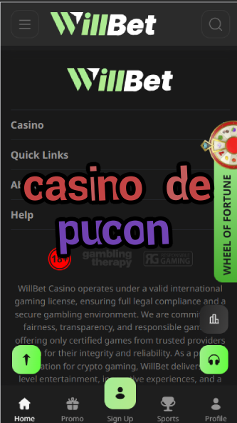 Casino de Pucón - Chile's Lakeside Casino Resort-casinobgaming.casinoorder.vip